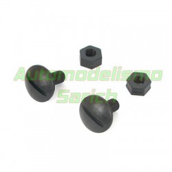 Tornillos alerón GT (2unid.) Titan