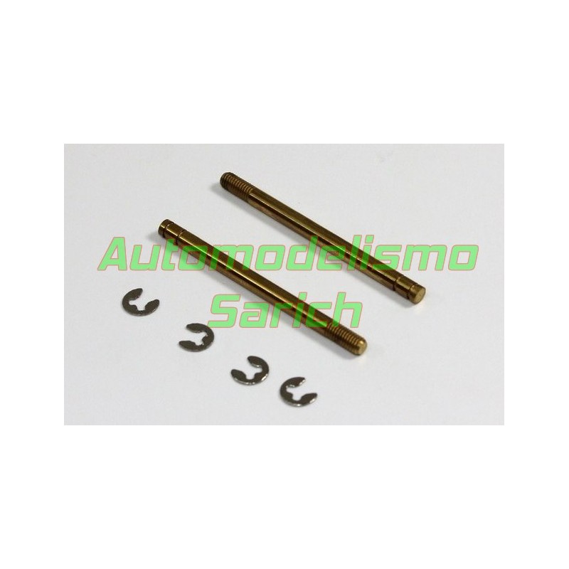 Vástagos delanteros TM4