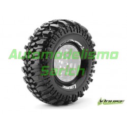 Champ 1.9" Louise (2u)