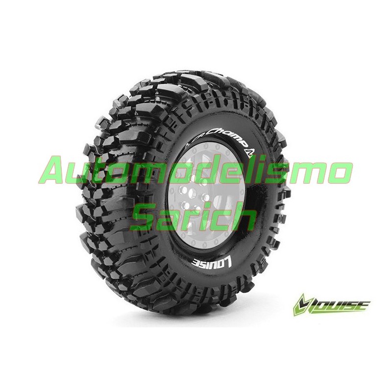 Champ 1.9" Louise (2u)