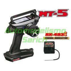Sanwa MT5 + 1 Receptor RX-493i
