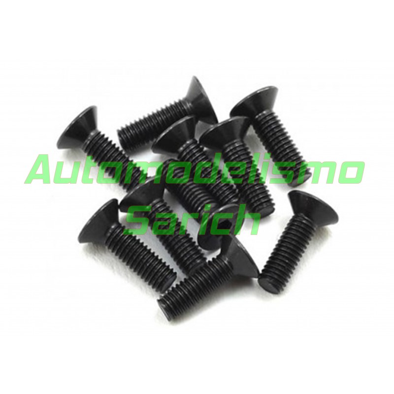Tornillos avellanados 3x10mm (10u) XTR