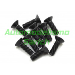 Tornillos avellanados 3x25mm (10u) XTR