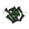 Tornillos avellanados 4x10mm (10u) XTR