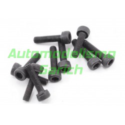 Tornillos cilíndricos 3x20mm (10u) XTR