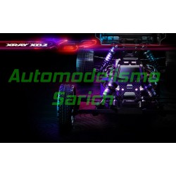 Xray XB2C'24 CARPET 1/10TT ECO